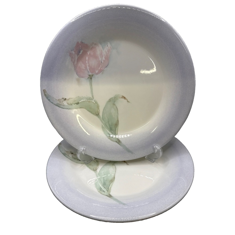 Set 2-Portmeirion Seasons Flowers By Susan Williams- Ellis Dinner Plates 10 3/4"